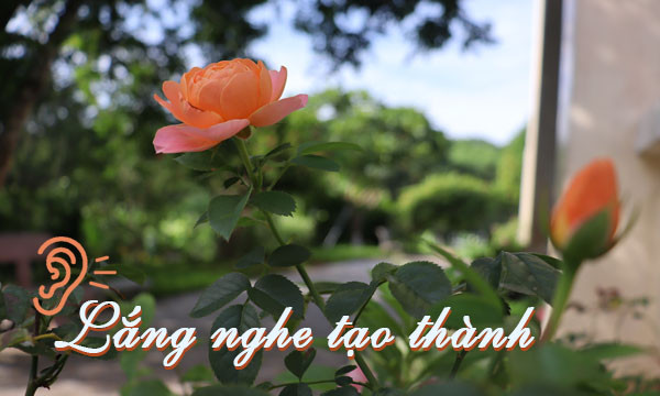Lắng nghe tạo thành